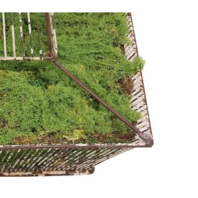 Antique French Painted Iron Wirework Fernery Jardiniere For Sale - Image 6 of 6