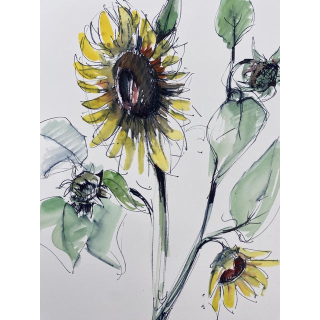 Paper Hans Ott, Sunflower, 1968, Ink and Watercolor Drawing For Sale - Image 7 of 7