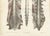 19th Century Brain and Spinal Cord in Situ from Hirschfeld, 1866 For Sale - Image 5 of 8