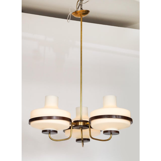 1960's mid-century modern 3 arm walnut and brass Italian chandelier in the style of Stilnovo, in vintage condition, with...