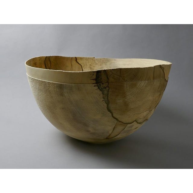 Rope Bowl in Hackberry Wood by Yann Marot For Sale - Image 6 of 12