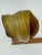 Mid Century Murano Amber Art Glass Aventurine Gold Flecks Vase Basket Handled For Sale - Image 9 of 11