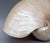 Late 20th Century Large Natural Polished Nautilus Shell Specimen – Coastal / Organic Modern For Sale - Image 5 of 9