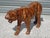 Vintage Leather Tiger, 1960s For Sale - Image 6 of 12