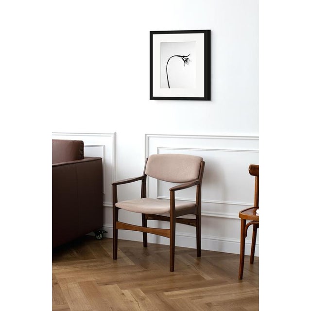 Tulip No.2 Analogue monochrome floral photography. London, United Kingdom 2026. Limited edition of 20. Printed on the...