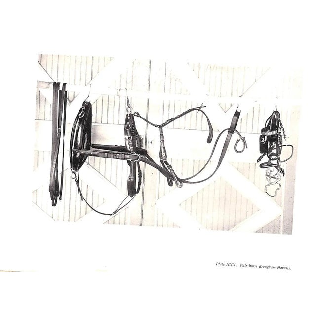 "Driving for Pleasure: Or, the Harness Stable and Its Appointments" 1897 Underhill, Francis T. For Sale - Image 11 of 13