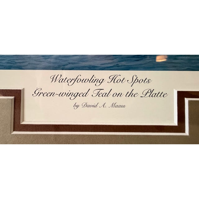 Signed David Maas 1986 Limited Edition "Green-Winged Teal on the Platte" Matted & Framed 34.5"x26.5" for Ducks Unlimited For Sale - Image 4 of 9