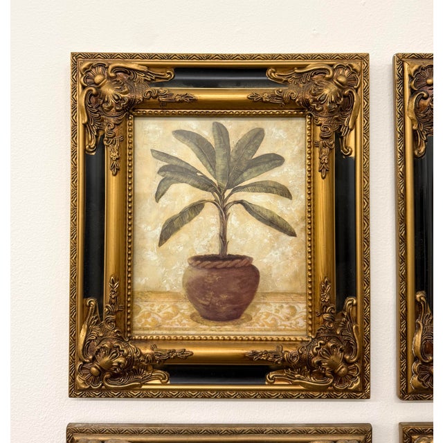 A stunning set of four vintage coastal lithographs depicting palms and tropical botanicals in soft olive, sepia, and ivory...