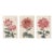 Red Chrysanthemum Triptych, Vintage Japanese Botanical Art Prints (Set of 3), 36" X 54" For Sale