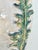 Vintage Italian Earthenware Vase With Stylized Peacock Feather Design For Sale - Image 15 of 15