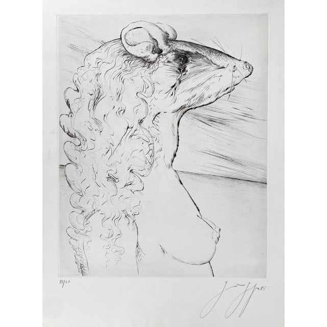 Günter Grass, The Other Damroka, 1985, Signed and Numbered Etching For Sale - Image 16 of 16