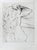 Günter Grass, The Other Damroka, 1985, Signed and Numbered Etching For Sale - Image 16 of 16