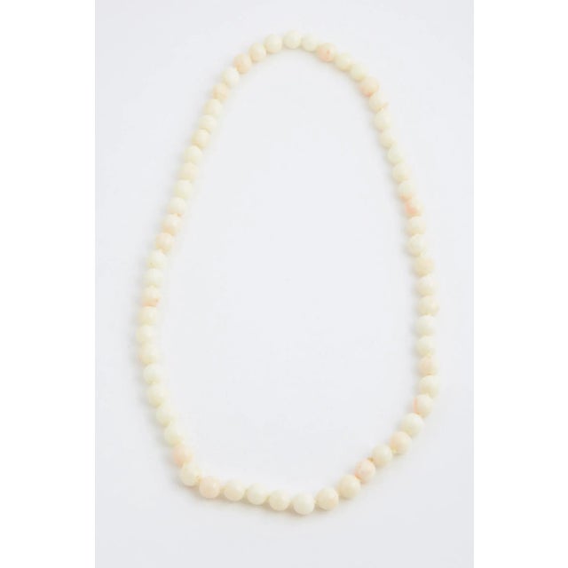 Strand of natural, undyed angel skin coral beads. Beads range from approximately 10mm to 10.25mm. Recently restrung with...