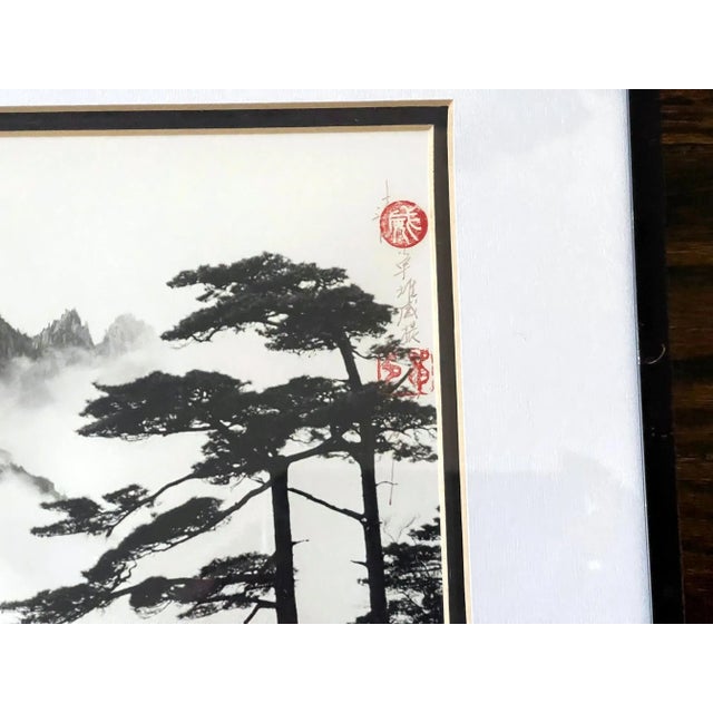 1980s Framed Photograph by Don Hong Oai For Sale - Image 4 of 10