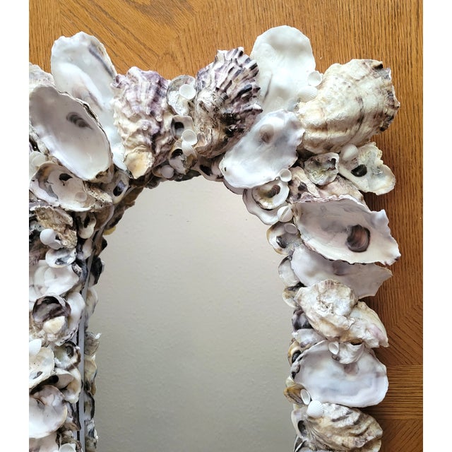 2020s Oyster Seashell Wall Mirror For Sale - Image 5 of 8