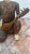 Hand-Carved Chinese Wooden Figural Sculpture of Seated Musician With String Instrument For Sale - Image 10 of 12