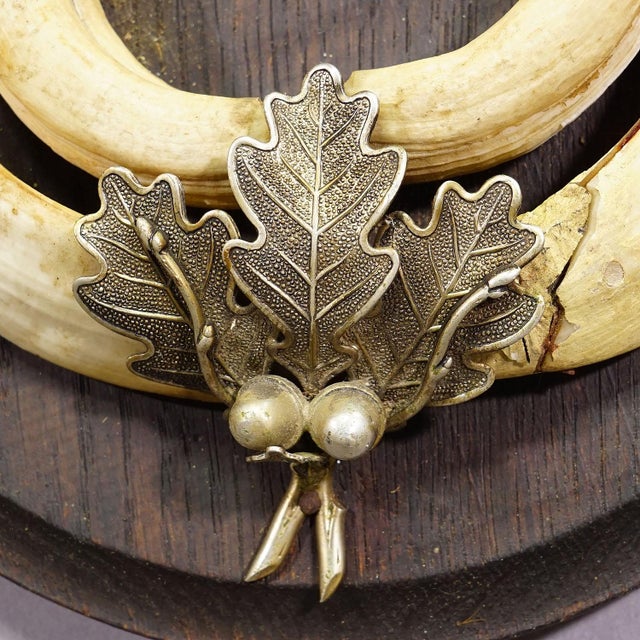 Vintage Wild Boar Teeth Trophy on Wooden Plaque, Germany 1950s For Sale - Image 4 of 5