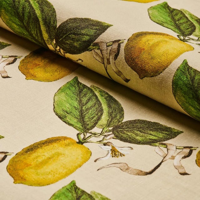 Schumacher Sample - Schumacher x Johnson Hartig Le Citron Fabric in Natural For Sale - Image 4 of 5