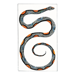 Vintage Deco Snake Print