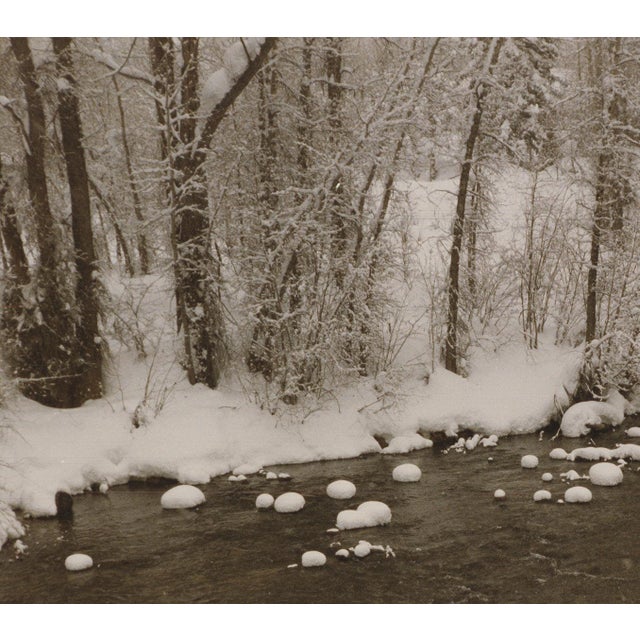 1990s Evelyn H. Lauder Snow Marshmallows, 1991 - Signed For Sale - Image 5 of 5