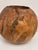 Sculptural Burl Wood Vessel Bowl For Sale - Image 9 of 12