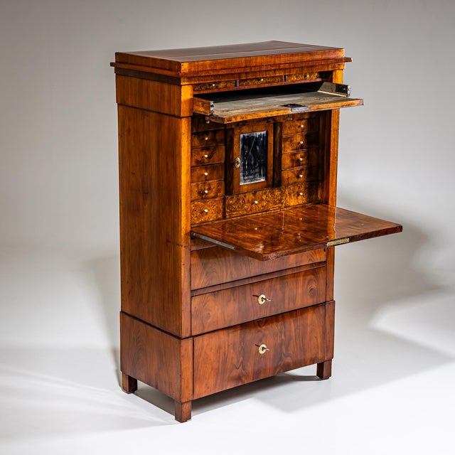 Antique Biedermeier Secretaire, Austria, 1820 For Sale - Image 5 of 16