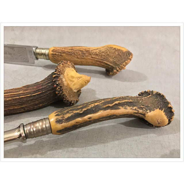 Antique Solingen Rostfrei Germany Stag Handled Cutlery Set in Box Set