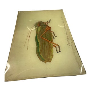 1980s John Derian Grasshopper Tray For Sale