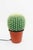 Large Cactus Table Lamp, 1980s For Sale - Image 10 of 10
