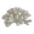 Massive Natural Catspaw Coral Specimen Coastal Home For Sale