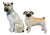 Collection of Forty Two-Pottery and Porcelain Pug Dogs For Sale - Image 10 of 13