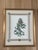 1980s Mark Catesby Hand-Colored Engraving Prints Set of 4 For Sale - Image 4 of 13