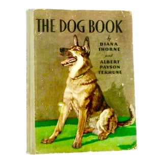 1932 Illustrated "T"he Dog Book" For Sale