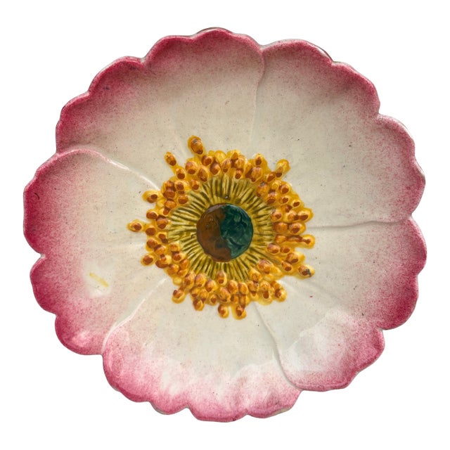 French Majolica Wild Rose Plate Delphin Massier Circa 1890 For Sale