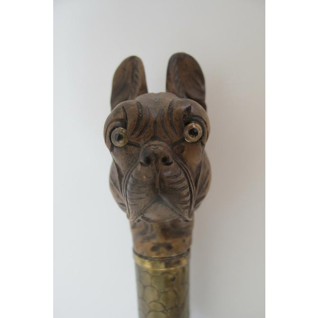 Early 20th Century Victorian Bulldog Dog Head With Realistic Eyes Carved Wood Walking Stick Cane For Sale - Image 5 of 12