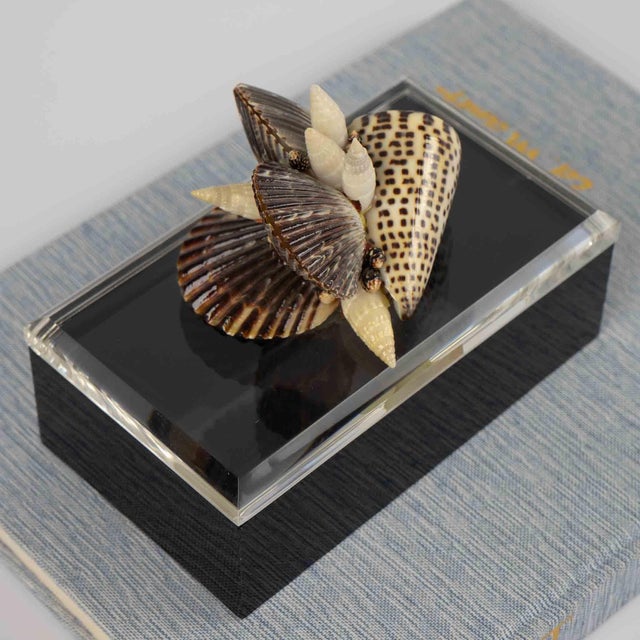 Vintage Lucite Lidded Box With Natural Seashell Cluster Handle For Sale - Image 13 of 16