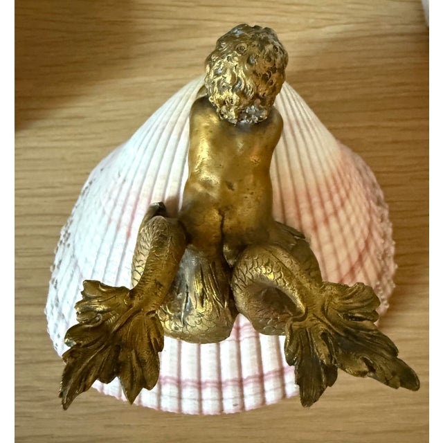 Shell French Scallop Shell Bowl on Brass Pedestal Base For Sale - Image 7 of 9