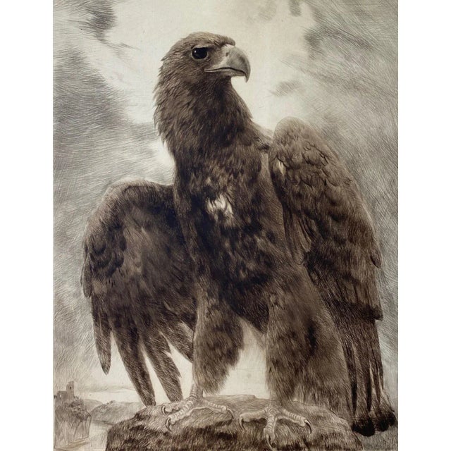 Curt Meyer-Eberhardt (1895-1977) Portrait of an Eagle Etching C.1930s Etching with Aquatint A Lofty portrait of an Eagle...