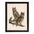 Great Horned Owl Duchess Edition, After Audubon Reproduction Print, Framed For Sale
