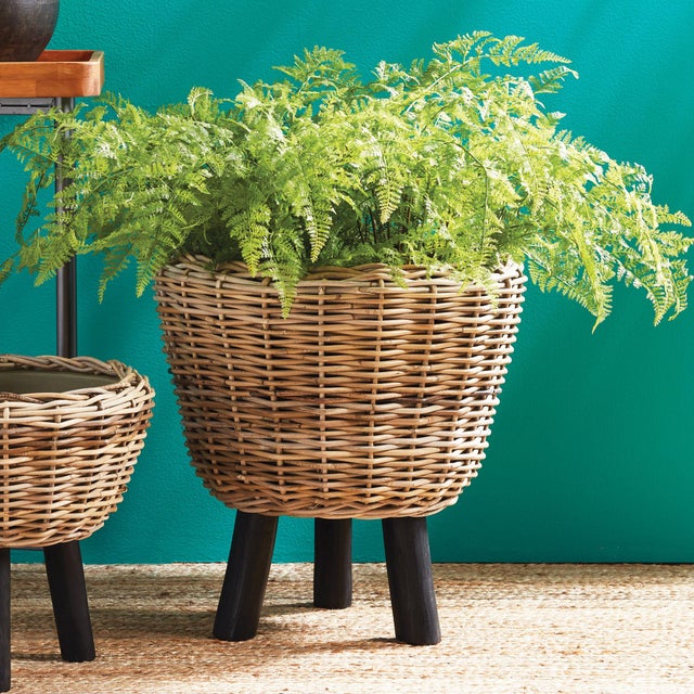 100% realistic a perfect copy of your favorite fern. This dropin is a nohassle work of art. Right down to the carefully...