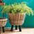 100% realistic a perfect copy of your favorite fern. This dropin is a nohassle work of art. Right down to the carefully...