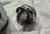1980s Vintage Chrome Hammered Insulated Coffee & Tea Server, Made in Taiwan, C. 1980s For Sale - Image 5 of 11