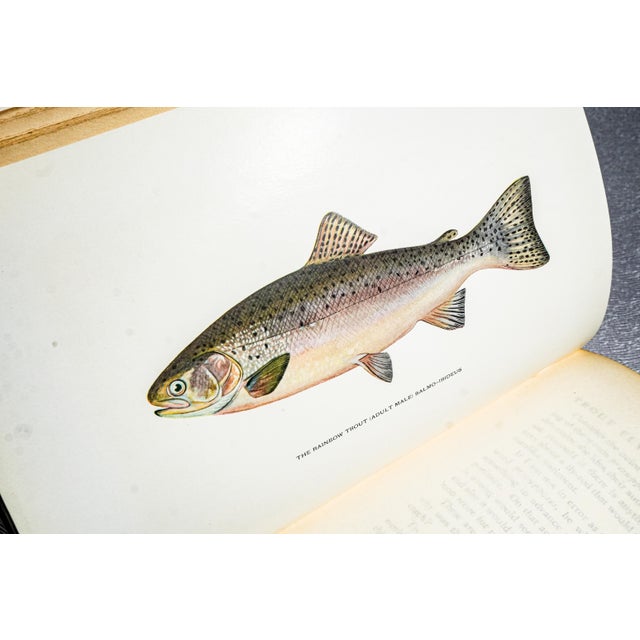 Green Rare Author Signed Trout Fly Fishing in America Antique Leather Spine Book 1914 For Sale - Image 8 of 12