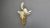 Vintage Floral Wall Lamp from Hans Kögl, 1970s For Sale - Image 15 of 18