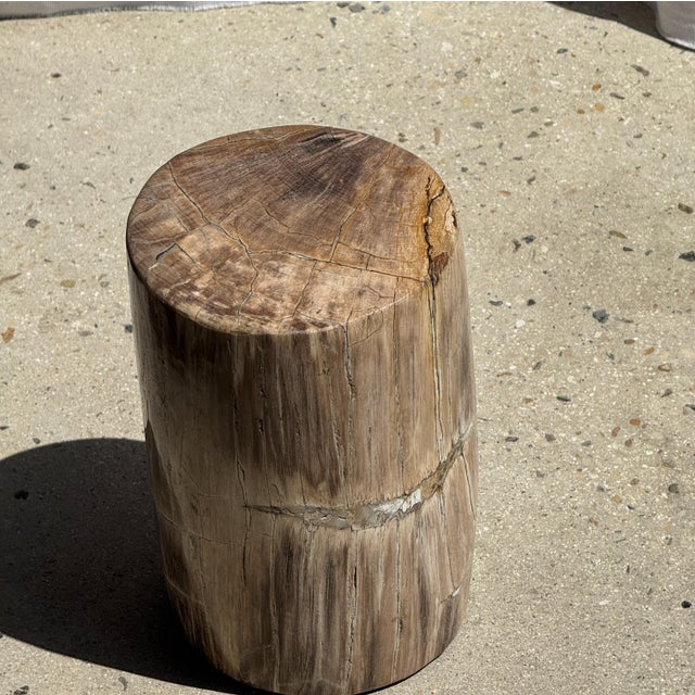 Small Side Table in Beige-Grey and Petrified Wood, 1980s For Sale - Image 18 of 18