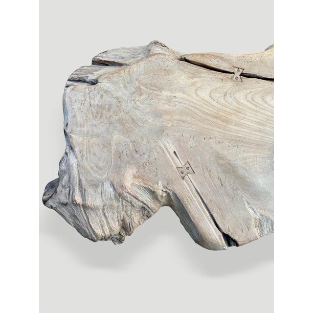 Andrianna Shamaris Sculptural Organic Teak Wood Coffee Table For Sale - Image 14 of 18