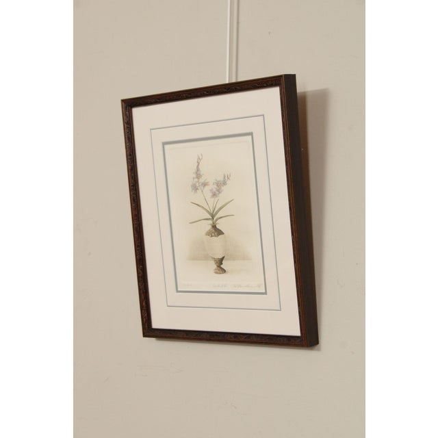 Rick Loudermilk Pair of Signed Limited Edition Prints, 'Orchid III' & 'Orchid IV' For Sale - Image 12 of 12