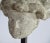 Stone Antique German Medieval Stone Bust of an Angel For Sale - Image 7 of 7