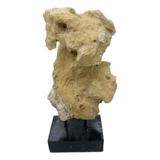 Indonesian Coral Stone On Teak Stand For Sale