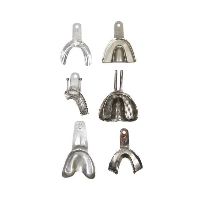 We love decorative objects that have that mysterious quality that makes you take an up-close look! This set of 12 dental...